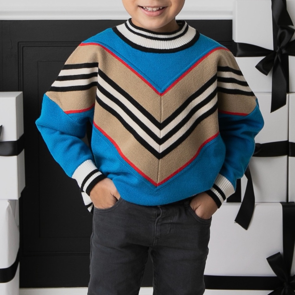 Boys Burberry Sweater